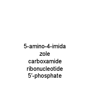 5-amino-4-imidazole carboxamide ribonucleotide 5′-phosphate